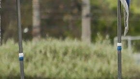 Policía de Ecuador rechazará a aspirantes con tatuajes para evitar infiltración de criminales