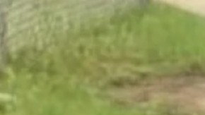 Antwon Amos Jr. y Legend Sims