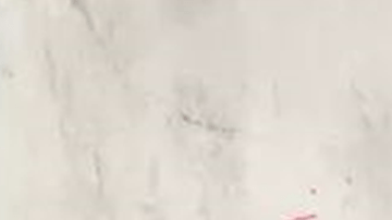 Viajaba en bicicleta hacia Venezuela: el terrible asesinato de una migrante por un celular en Brasil