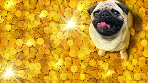 loteria-premio-animales-massachusetts