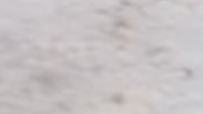 Leo Moreno, migrante venezolano en Estados Unidos, ya ha publicado contenido controversial en las redes sociales