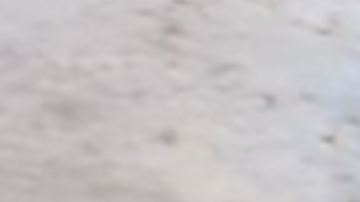 Leo Moreno, migrante venezolano en Estados Unidos, ya ha publicado contenido controversial en las redes sociales