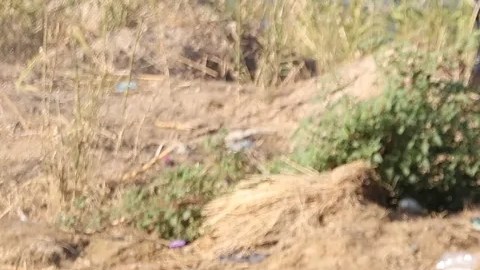 Migrantes cruzan el Río Grande en Eagle Pass Texas