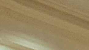 Estudiantes de la high school de Computación y Tecnología Aerospace, en El Bronx, participaron este jueves en un evento de concientización sobre la trata humana.