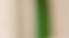 pick-4-carolina-del-sur-loteria