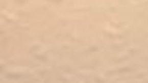 Expolicía venezolano detenido por el asesinato de un hombre en Texas: le disparó tras una discusión