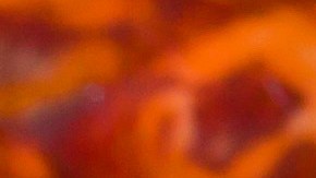 Productos de Charcutería