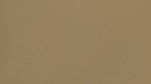 Avena contaminada con Salmonella