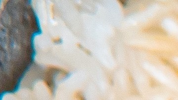 Sancocho,Is,A,Flavorful,Dominican,Stew,,Combining,Meats,,Root,Vegetables,