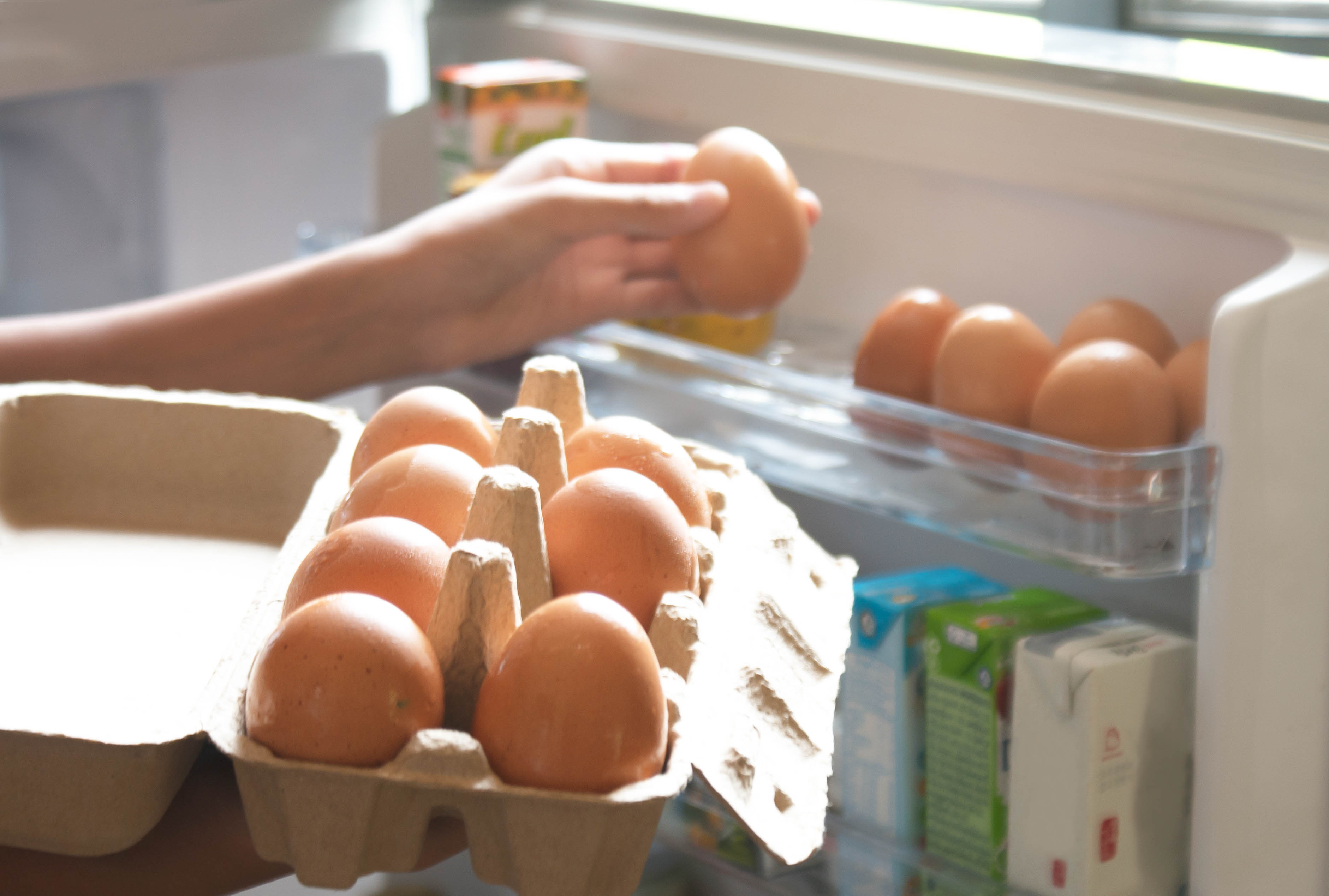 Cómo conservar los huevos correctamente - Araven