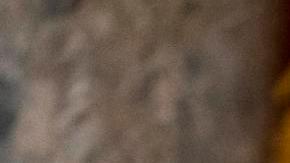 Primarias en Carolina del Sur: entre la aversión a Donald Trump y la preocupación por la economía