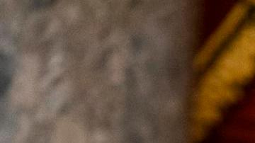 Primarias en Carolina del Sur: entre la aversión a Donald Trump y la preocupación por la economía