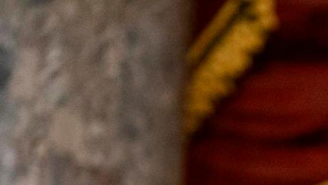 Primarias en Carolina del Sur: entre la aversión a Donald Trump y la preocupación por la economía