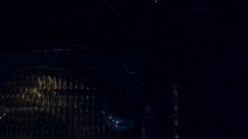 Carrillo (centro) y Romero (der) junto al resto del elenco principal de la obra que acaba de arrancar presentaciones en la ciudad.