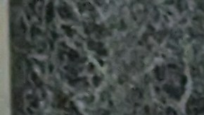 Manifestantes urgieron a Albany aprobar reformas de cuidado infantil