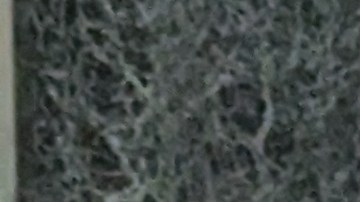 Manifestantes urgieron a Albany aprobar reformas de cuidado infantil