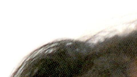 Selena Quintanilla.