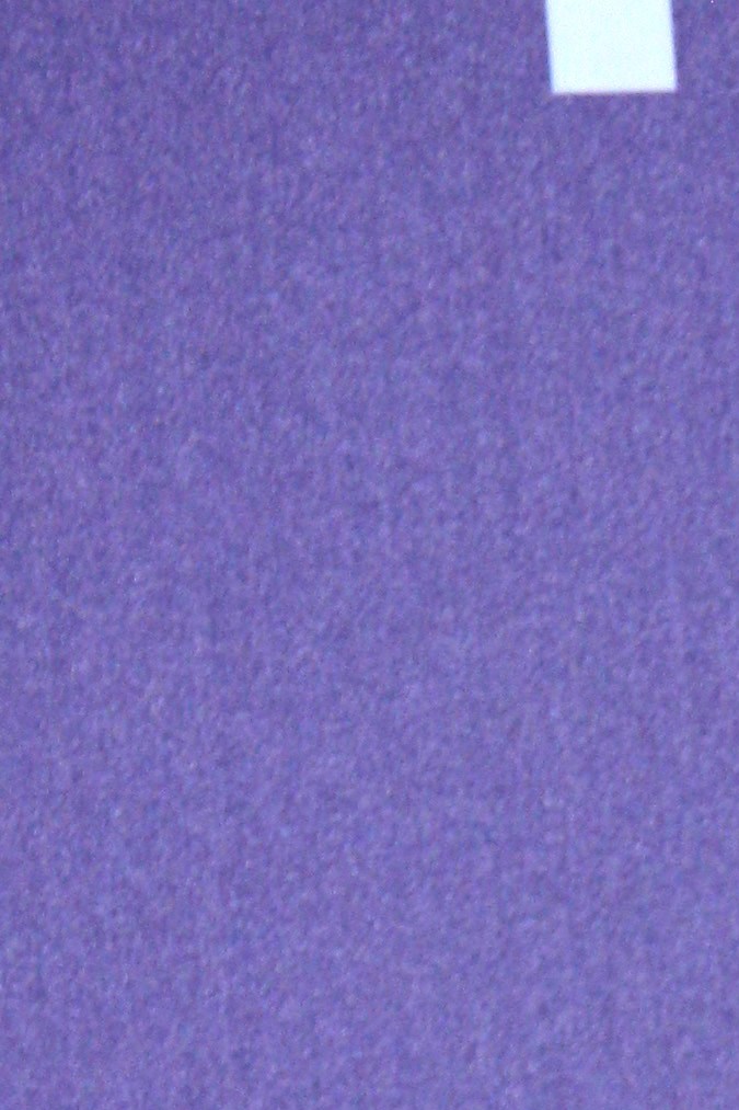 José Ángel Bichir posando.