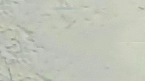 Maribel Guardia junto a su nuera Imelda Tuñón