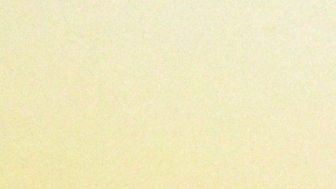 Angelique Boyer junto a Sebastián Rulli.