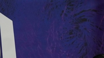 Los integrantes de Fuerza Regida