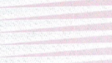 La hija de Stephanie Salas se casó en octubre de 2023. Salas.