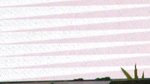La hija de Stephanie Salas se casó en octubre de 2023. Salas.