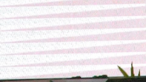 La hija de Stephanie Salas se casó en octubre de 2023. Salas.