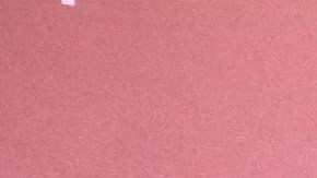 Kate del Castillo posando en una alfombra roja.