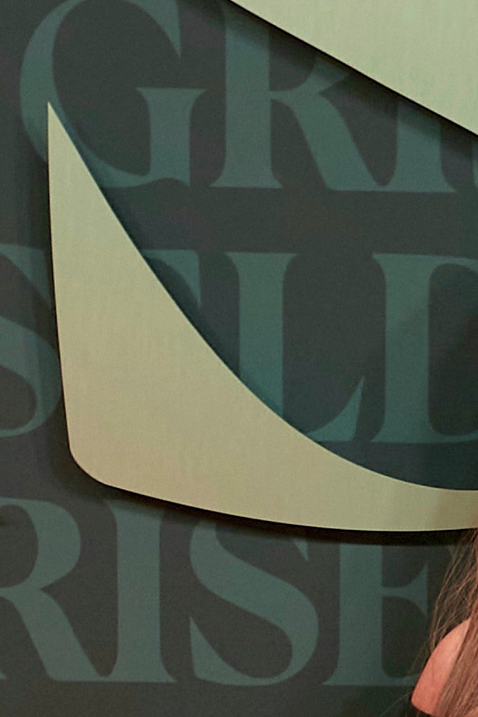 Sofía Vergara posando en una alfombra roja.