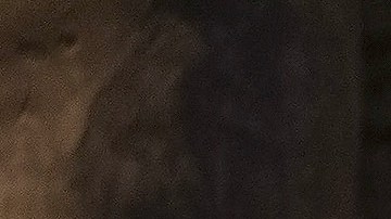 Fernando Colunga posando.