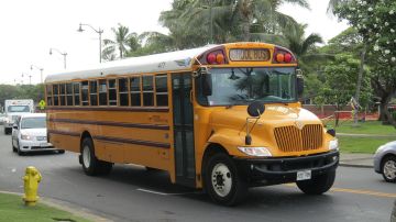 School_Bus