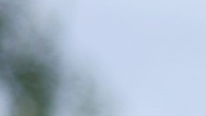 Óscar de la Hoya durante la presentación oficial del combate entre Gervonta Davis y Ryan García.