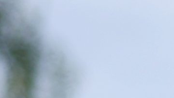 Óscar de la Hoya durante la presentación oficial del combate entre Gervonta Davis y Ryan García.