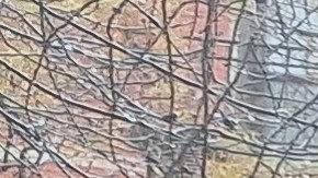 Todas las estructuras tal como están instaladas actualmente, desaparecerán para dar paso a mejores diseños.