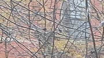 Todas las estructuras tal como están instaladas actualmente, desaparecerán para dar paso a mejores diseños.