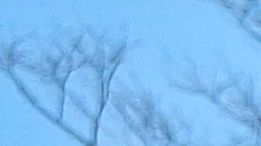 La electora dominicana Mayra Ortiz cree que es momento de participar: "Debemos exigir más a quien legisla y gobierna"