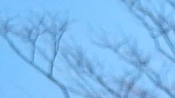 La electora dominicana Mayra Ortiz cree que es momento de participar: "Debemos exigir más a quien legisla y gobierna"