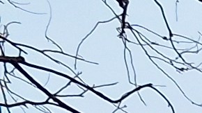 El plan plantea modernizar los accesos y crear un parque comunitario alrededor de la instalación deportiva