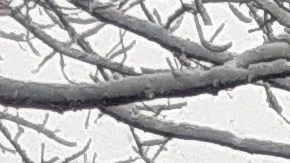 Nevada del martes 13 de febrero 2024 en NYC.