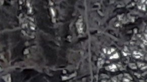 Escultura de nieve en el Central Park de NYC, 13 de febrero 2024.