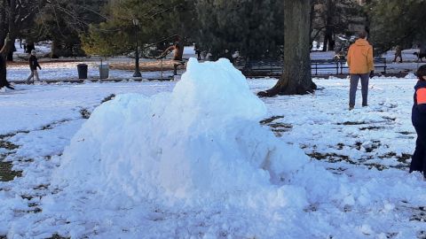Escultura de nieve en el Central Park de NYC, 13 de febrero 2024.
