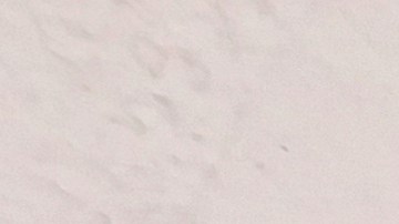 La mexicana María Guadalupe González apoya la medida de garantizar salario mínimo legal más propinas a esta inmensa masa laboral