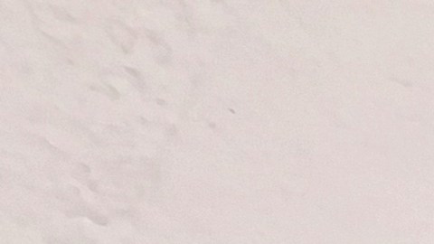 La mexicana María Guadalupe González apoya la medida de garantizar salario mínimo legal más propinas a esta inmensa masa laboral