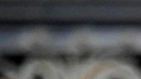 Francisco ha defendido a Fiducia Supplicans en varias ocasiones, resaltando que se bendice a los individuos.