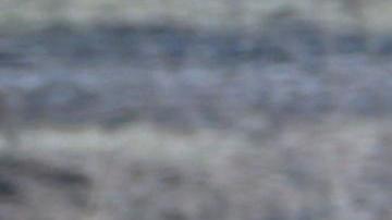 Guerra de Ucrania: bebé muerto en ataque ruso contra hotel de Járkov