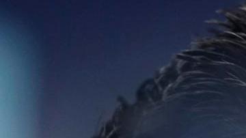 "Dije que iba a ser bueno para el equipo”: Xavi celebra dos triunfos del FC Barcelona tras su anuncio