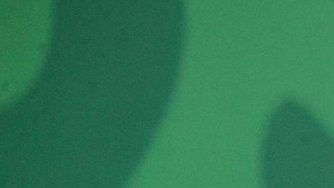 El presidente de México, Andrés Manuel López Obrador, habla durante una rueda de prensa este jueves, en Acapulco, en el estado Guerrero (México).