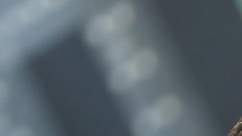 Napoli cambia su DT a menos de 48 horas de enfrentar al FC Barcelona en octavos de Champions League