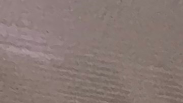 Urgen implementar cambios en vales de renta para frenar desamparo.